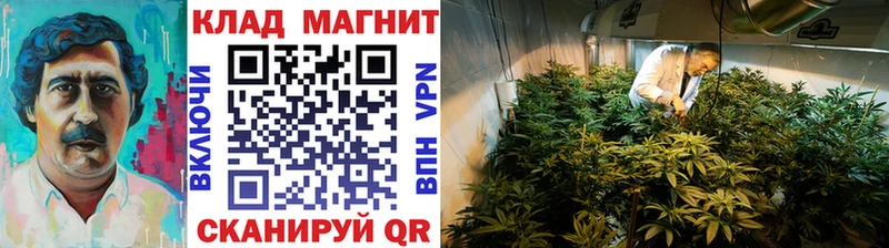 Продажа наркотиков Новохопёрск Альфа ПВП  Мефедрон  АМФ  Марихуана  COCAIN  ГАШИШ 