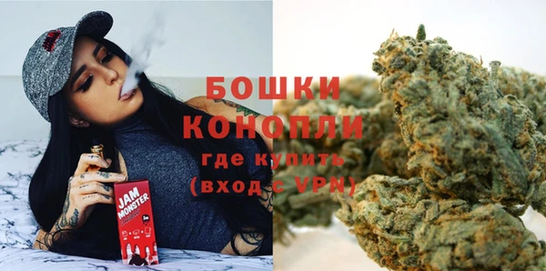 стафф Майский