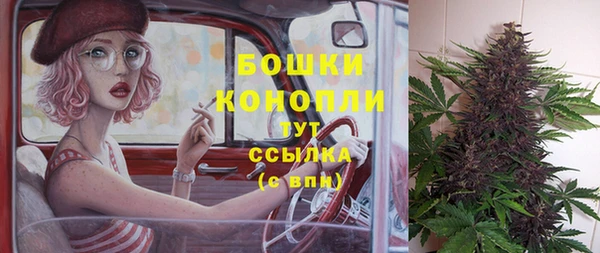 трава Лабытнанги