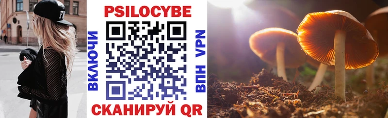 где купить наркоту  KRAKEN ссылки  Псилоцибиновые грибы Magic Shrooms  Новохопёрск 
